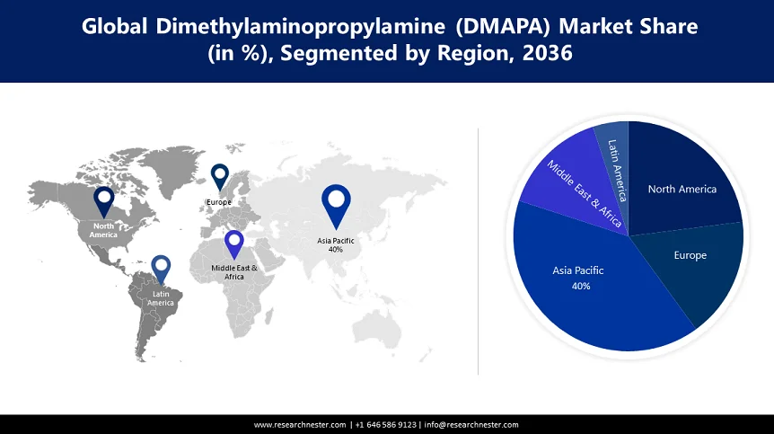 Dimethylaminopropylamine (DMAPA) Market  Region